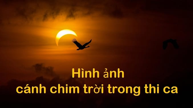 hinh-anh-canh-chim-trong-thi-ca