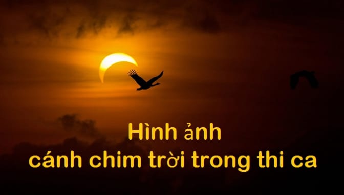 hinh-anh-canh-chim-trong-thi-ca