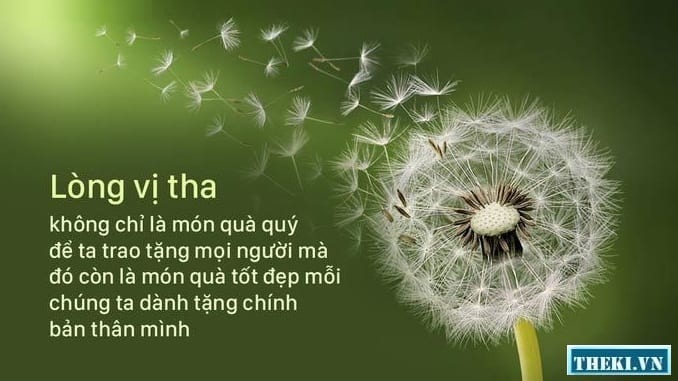 suy-nghi-ve-long-vi-tha-trong-cuoc-song