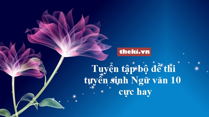 nhung-de-thi-tuyen-sinh-ngu-van-10-cuc-hay-13204-2