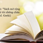 hay-yeu-sach-no-la-nguon-kien-thuc-chi-co-kien-thuc-moi-la-con-duong-song-gor-ki