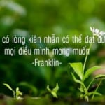 co-cong-mai-sat-co-ngay-nen-kim-giai-thich-y-nghia-cau-tuc-ngu