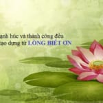 giai-thich-va-chung-minh-y-nghia-cau-tuc-ngu-an-qua-nho-ke-trong-cay