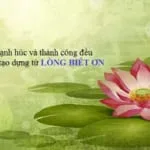 giai-thich-va-chung-minh-y-nghia-cau-tuc-ngu-an-qua-nho-ke-trong-cay