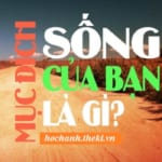 nghi-luan-neu-khong-co-muc-dich-anh-khong-lam-duoc-gi-ca-anh-cung-khong-lam-duoc-cai-gi-neu-nhu-muc-dich-tam-thuong