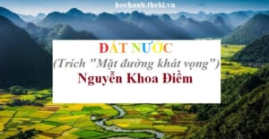 phan-tich-doan-trich-dat-nuoc-trich-truong-ca-mat-duong-khat-vong-cua-nguyen-khoa-diem