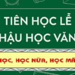 y-nghia-cua-tu-van-va-viec-hoc-van-qua-cau-tuc-ngu-tien-hoc-le-hau-hoc-van