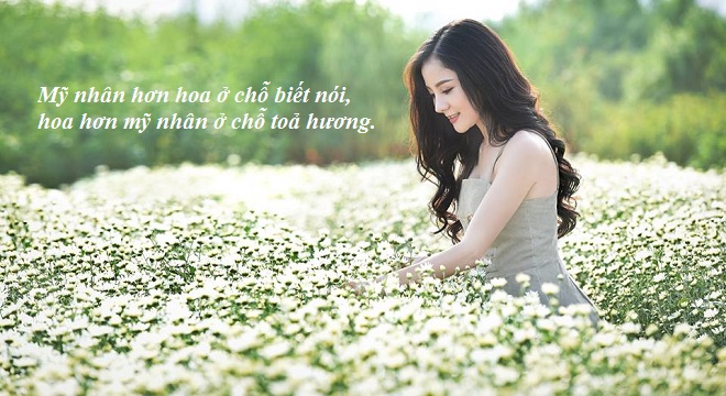 suy-nghi-ve-y-nghia-cua-loi-song-dep