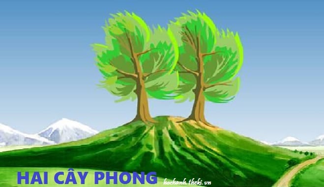 cam-nhan-ve-dep-hinh-anh-hai-cay-phong