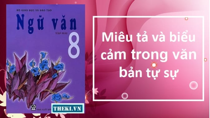 mieu-ta-va-bieu-cam-trong-van-ban-tu-su