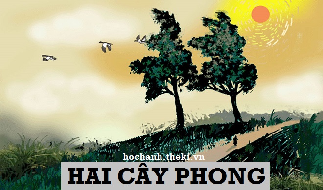 phan-tich-truyen-ngan-hai-cay-phong-ai-ma-top