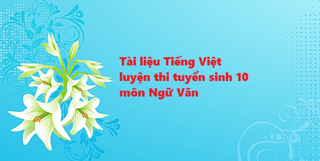 tai-lieu-tieng-viet-luyen-thi-tuyen-sinh-10-mon-ngu-van