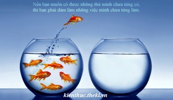 suy-nghi-ve-cau-noi-duong-vinh-quang-di-qua-muon-ngan-song-gio