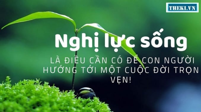 doi-khi-co-the-ban-di-nham-duong-nhung-neu-ban-van-cu-di-no-co-the-la-con-duong-moi.jpg