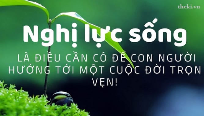 10-suy-nghi-tich-cuc-ve-thai-do-song