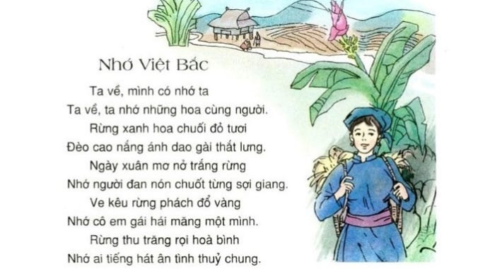 cam-nhan-24-cau-tho-dau-bai-tho-viet-bac