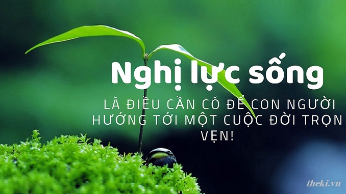 viet-doan-van-200-chu-nghi-luan-ve-nghi-luc-song-khong-dau-hang-so-phan