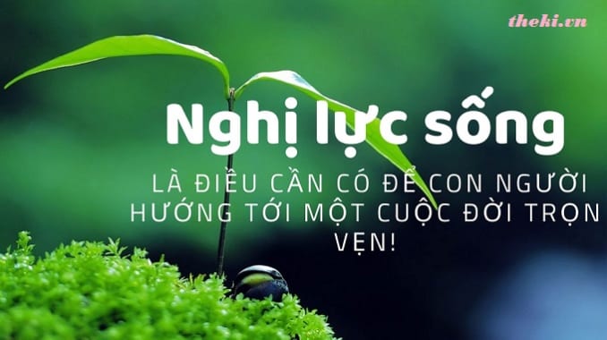 nghi-luan-y-nghia-cua-nghi-luc-song-cua-con-nguoi