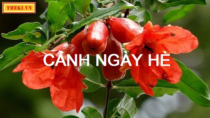 cam-nhan-cua-anh-chi-ve-ve-dep-cua-buc-tranh-thien-nhien-va-tam-hon-nguyen-trai-qua-bai-tho-canh-ngay-he