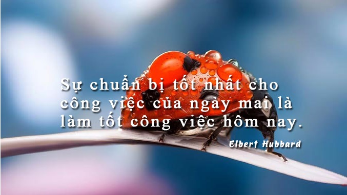 viet-doan-van-nghi-luan-200-chu-ban-kho-co-the-thanh-cong-neu-khong-co-su-chuan-bi-tot-ve-ky-nang-va-kien-thuc-nen-tang