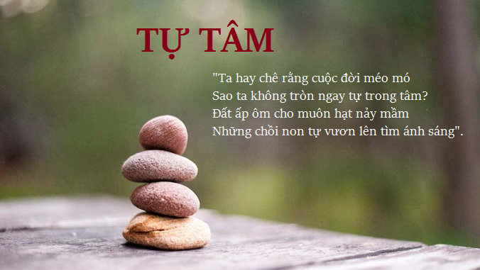 nghi-luan-ta-hay-che-rang-cuoc-doi-meo-mo-sao-ta-khong-tron-ngay-tu-trong-tam