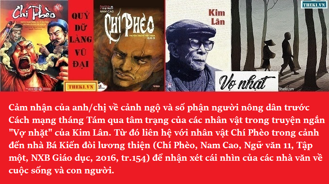 vcanh-ngo-va-so-phan-nguoi-nong-dan-truoc-cach-mang-thang-tam-qua-tam-trang-cua-nhan-vat-trang-vo-nhat-kim-lan-va-nhan-vat-chi-pheo-chi-pheo-nam-cao