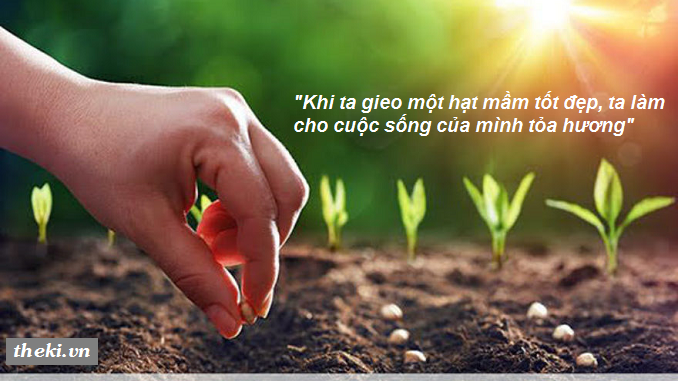 ban-luan-ve-y-kien-khi-ta-gieo-mot-hat-mam-tot-dep-ta-lam-cho-cuoc-song-cua-minh-toa-huong