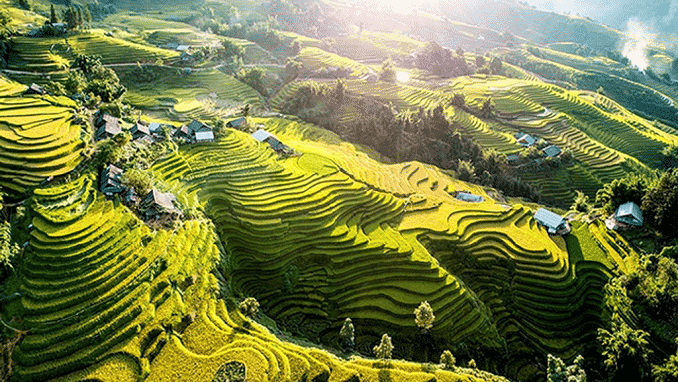 thuyet-minh-ve-ruong-bac-thang-sa-pa-tinh-lao-cai