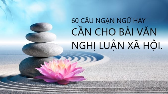 60-cau-ngan-ngu-hay-can-trich-dan-cho-bai-van-nghi-luan-xa-hoi