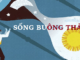 anh-chi-suy-nghi-gi-ve-loi-song-buong-tha-cua-mot-so-thanh-nien-trong-xa-hoi-hien-nay-hay-trinh-bay-suy-nghi-cua-minh-trong-mot-bai-van-khoang-600-tu