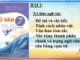 bai-1-de-tai-chi-tiet-tinh-cach-nhan-vat-van-ban-tom-tat-mo-rong-thanh-phan-chinh-va-trang-ngu-cua-cau-bang-cum-tu-ngu-van-7-ket-noi-tri-thuc