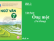 bai-1-ong-mot-vu-hung-sgk-ngu-van-7-tap-1-sach-chan-troi-sang-tao