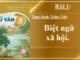 bai-1-thuc-hanh-tieng-viet-bit-ngu-xa-hoi-ngu-van-8-ket-noi-tri-thuc