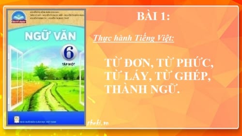 bai-1-thuc-hanh-tieng-viet-tu-don-tu-phuc-tu-lay-tu-ghep-thanh-ngu