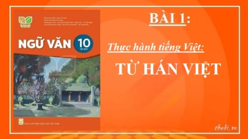 bai-1-thuc-hanh-tieng-viet-tu-han-viet-ngu-van-10-ket-noi-tri-thuc