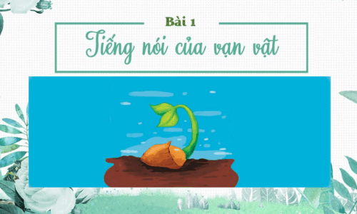 hình thu nhỏ khóa học