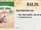 bai-10-thuc-hanh-tieng-viet-bai-10-sac-thai-nghia-cua-tu-cau-hoi-tu-tu-viet-sac-thai-nghia-cua-tu-ngu-ngu-van-8-tap-2-chan-troi-sang-tao