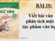 bai-10-viet-bai-van-phan-tich-mot-tac-pham-van-hoc-ngu-van-8-tap-2-chan-troi-sang-tao