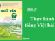 bai-2-thuc-hanh-tieng-viet-bai-2-sgk-ngu-van-7-tap-1-sach-chan-troi-sang-tao