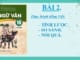 bai-2-thuc-hanh-tieng-viet-ngu-van-10-chan-troi-sang-tao