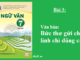 bai-3-buc-thu-gui-chu-linh-chi-dung-cam-sgk-ngu-van-7-tap-1-sach-chan-troi-sang-tao