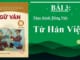 bai-3-thuc-hanh-tieng-viet-bai-3-tu-han-viet-ngu-van-8-tap-1-chan-troi-sang-tao