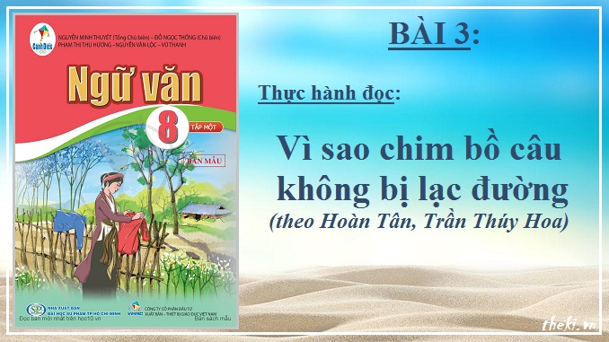 bai-3-vi-sao-chim-bo-cau-khong-bi-lac-duong-theo-hoan-tan-tran-thuy-hoa-ngu-van-8-canh-dieu