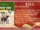 bai-4-nha-hat-cai-luong-tran-huu-trang-khanh-thanh-phong-truyen-thong-them-mot-ban-dich-truyen-kieu-sang-tieng-nhat-ngu-van-10-chan-troi-sang-tao