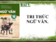 bai-5-kien-thuc-ngu-van-ngu-van-10-chan-troi-sang-tao