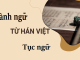 bai-5-on-tap-ve-tu-han-viet-thanh-ngu-tuc-ngu-ngu-van-8-canh-dieu