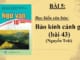 bai-5-van-ban-bao-kinh-canh-gioi-bai-43-nguyen-trai-ngu-van-10-canh-dieu
