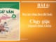 bai-6-chay-giac-nguyen-dinh-chieu-ngu-van-8-tap-2-chan-troi-sang-tao