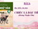 bai-6-chiec-la-dau-tien-hoang-nhuan-cam-ngu-van-10-chan-troi-sang-tao