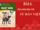 bai-6-thuc-hanh-tieng-viet-tu-han-viet-ngu-van-10-ket-noi-tri-thuc